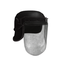 A7 Delta Riot Helmet