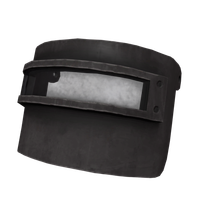 Altyn helmet face shield